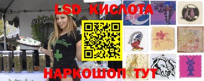 jwh Кандалакша