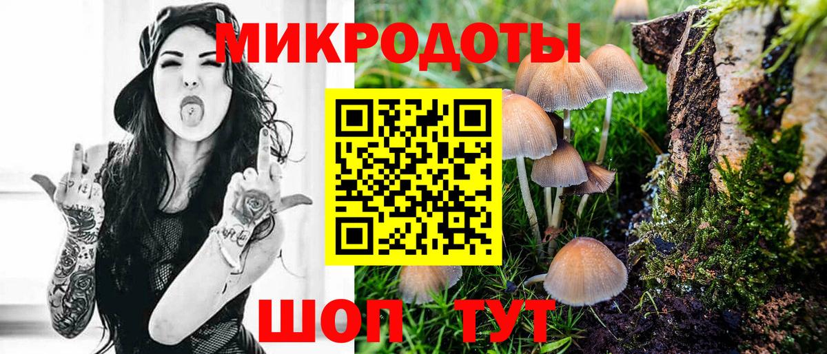 Псилоцибиновые грибы GOLDEN TEACHER Корсаков