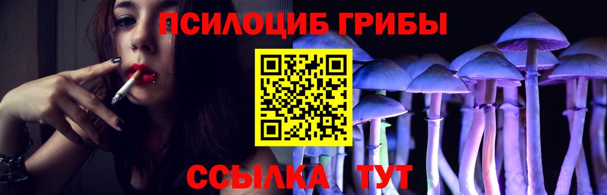 Галлюциногенные грибы GOLDEN TEACHER  Вход с VPN  Корсаков 